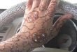Latest Eid hand Mehndi Henna Artdesigns Collection 2012 for Girls 19