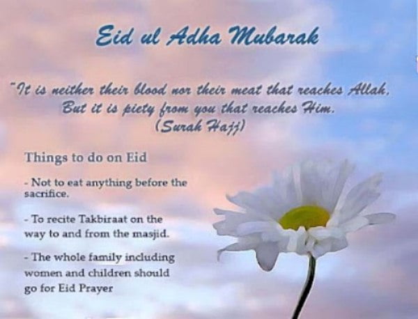 Eid Greeting Cards Design (2)