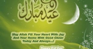 Eid Greeting Cards Design 2013 (5)