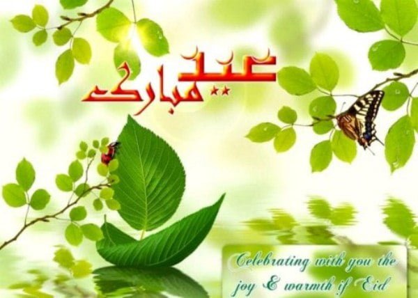 Eid Greeting Cards Design (6)