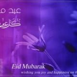 Eid Greeting Cards Design 2013 (4)