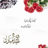 Eid Greeting Cards Design 2013 (8)