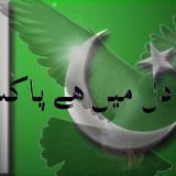 Pakistan Independence Day wallpapers 2014