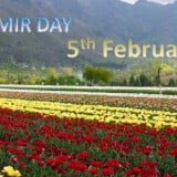 5 February 2015 Kashmir Day wallpapers