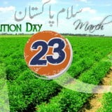 23rd March Pakistan Day hd wallpapers