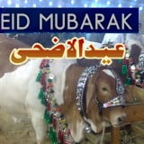 Eid Ul Azha Images online