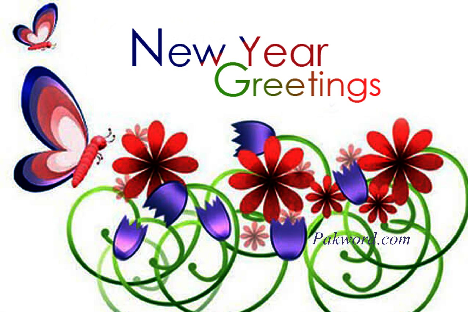 new greeting cards 2024 happy