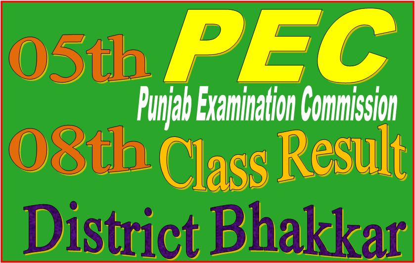 8 class result Bhakkar