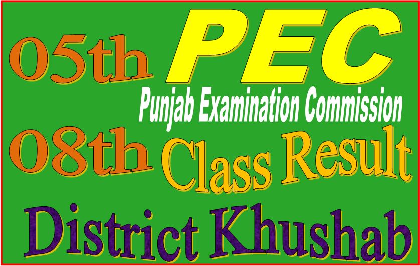8 class result Khushab