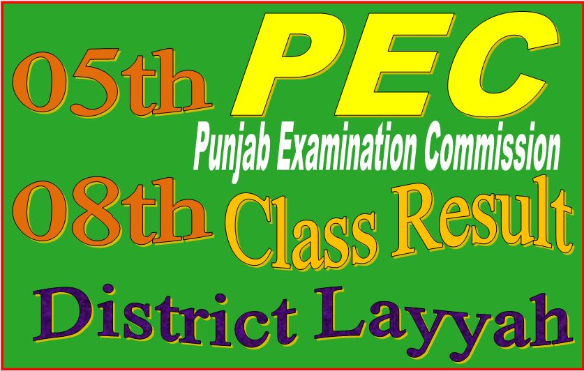 8 class result Layyah