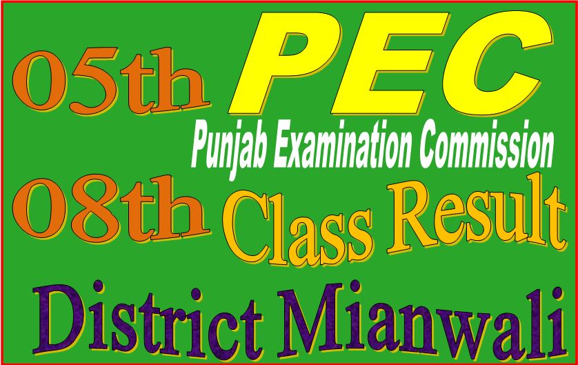 8 class result Mianwali