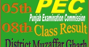 8 class result muzaffar ghar