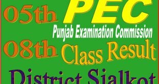 5 and 8 class result sialkot