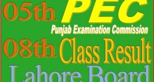 5 and 8 class result lahore