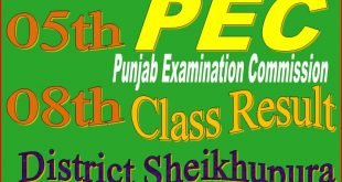 Class 5 and 8 Result Sheikhupura