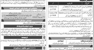 afns jobs in pak army
