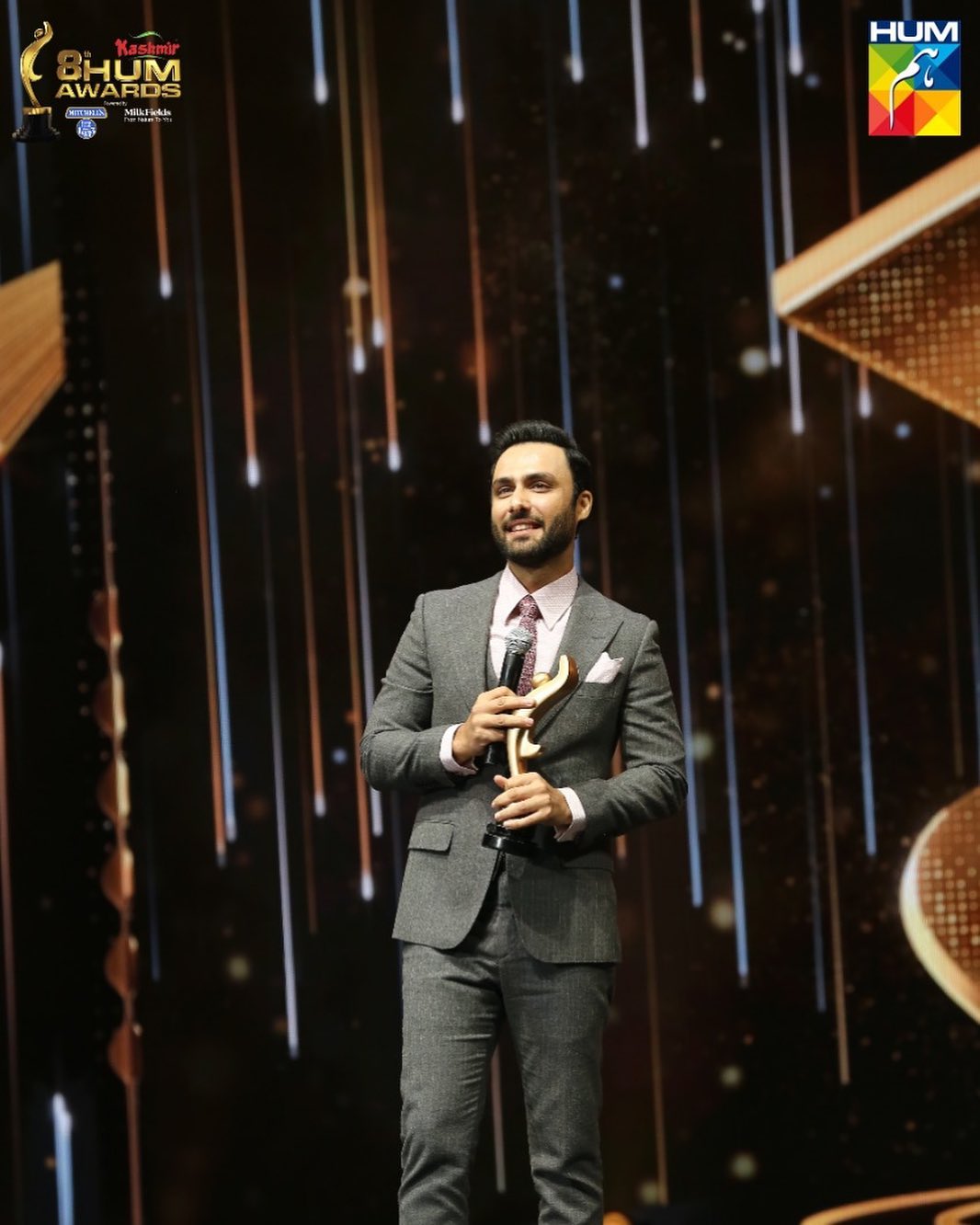 hum style award of best actor male