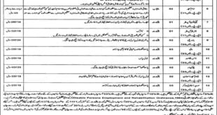 jobs in session court chiniot