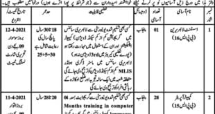 jobs in session courts okara
