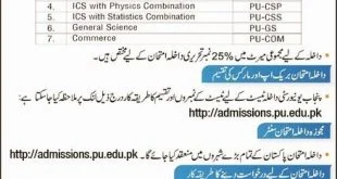 pu lahore entry test result bs admission