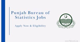 Punjab Bureau of Statistics Jobs