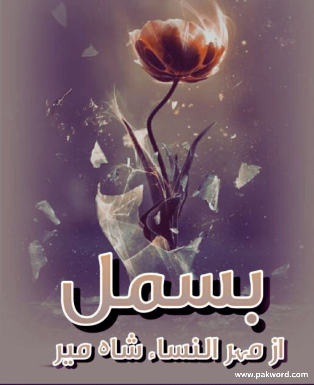 Bismil Novel by Mehrunnisa Shahmeer 