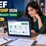Pakistani student checking PEEF Scholarship 2026 status on a laptop
